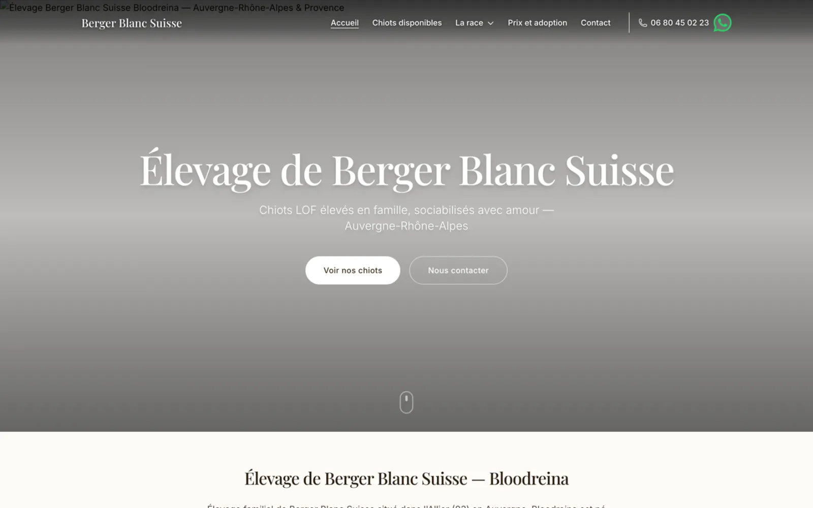 Capture du site Berger Blanc Suisse