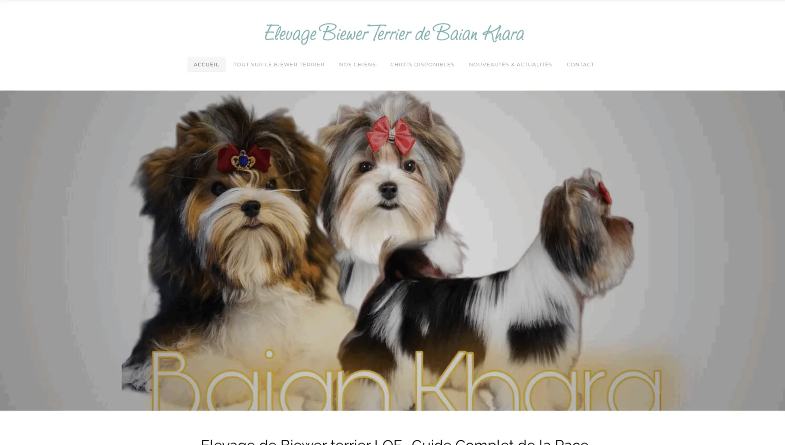 Site Biewer Terrier sur Weebly avant la refonte