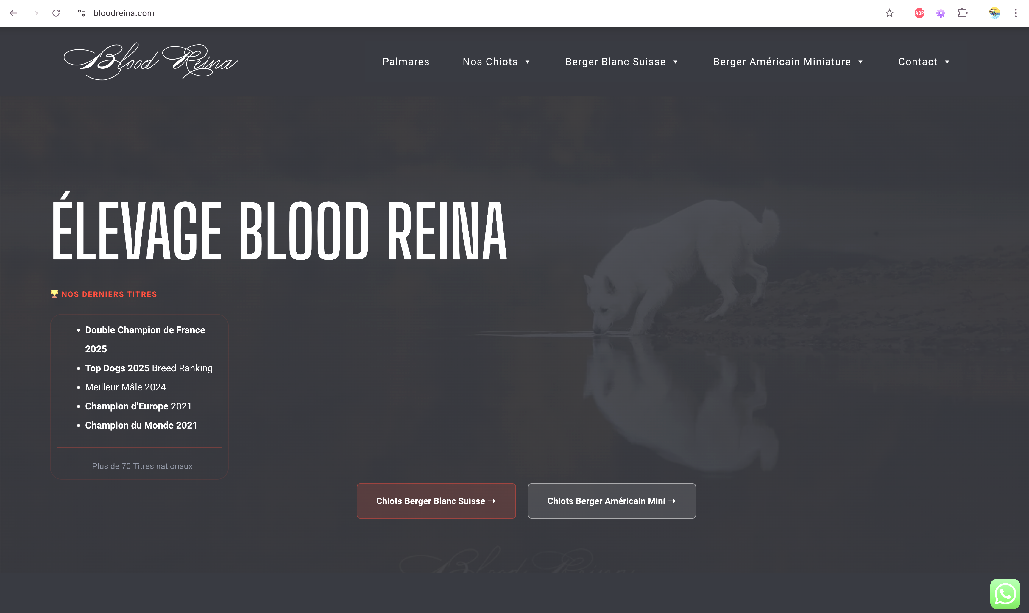 Site Bloodreina livré par OWAG