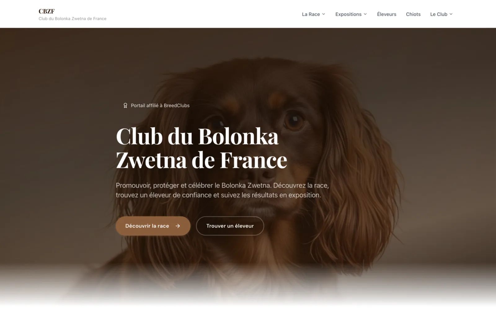 Capture du site Club du Bolonka Zwetna de France