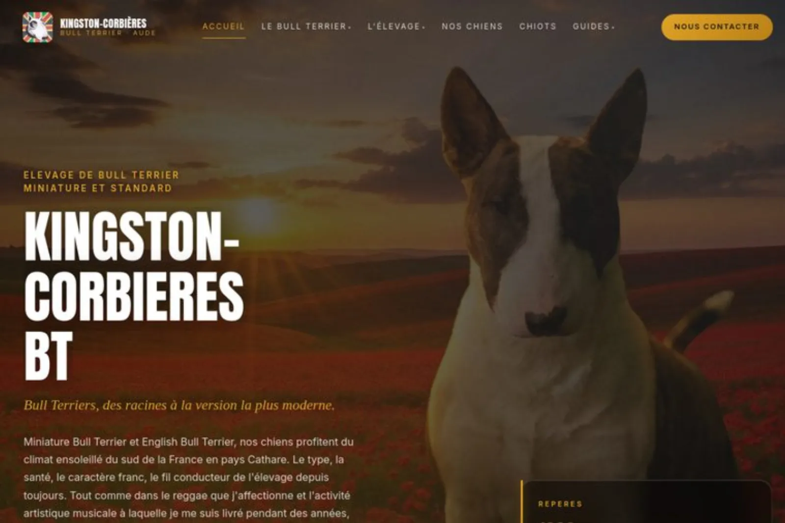 Capture du site Kingston Corbières