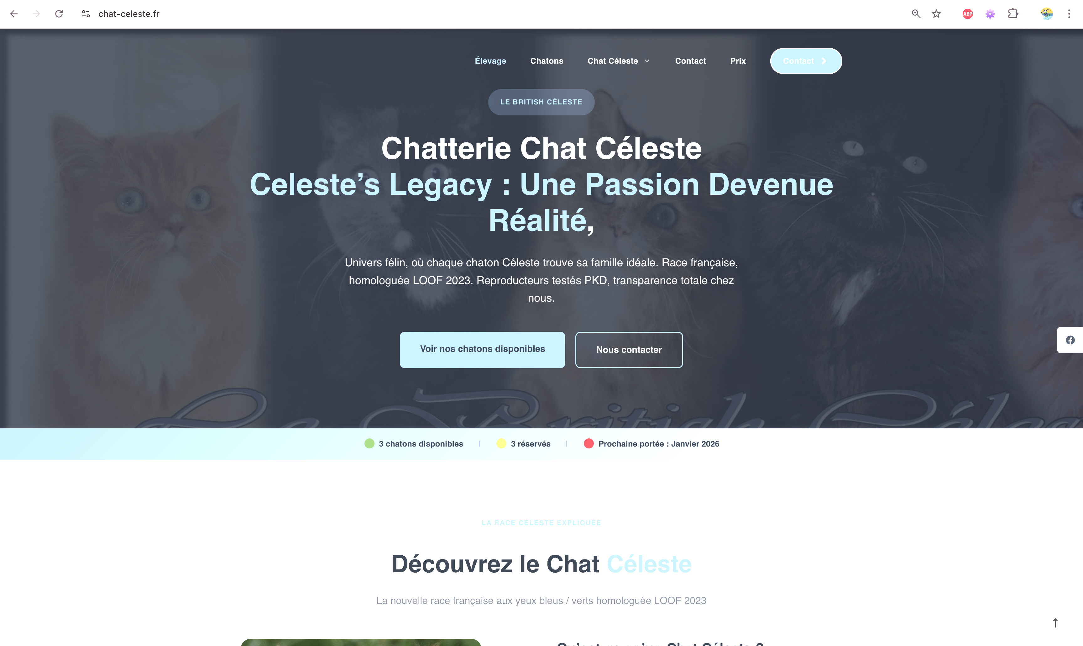 Capture du site Chatterie Celeste's Legacy