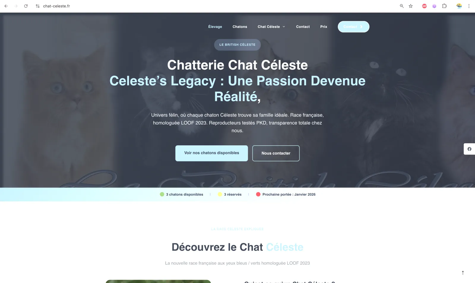 Capture du site Chatterie Celeste's Legacy