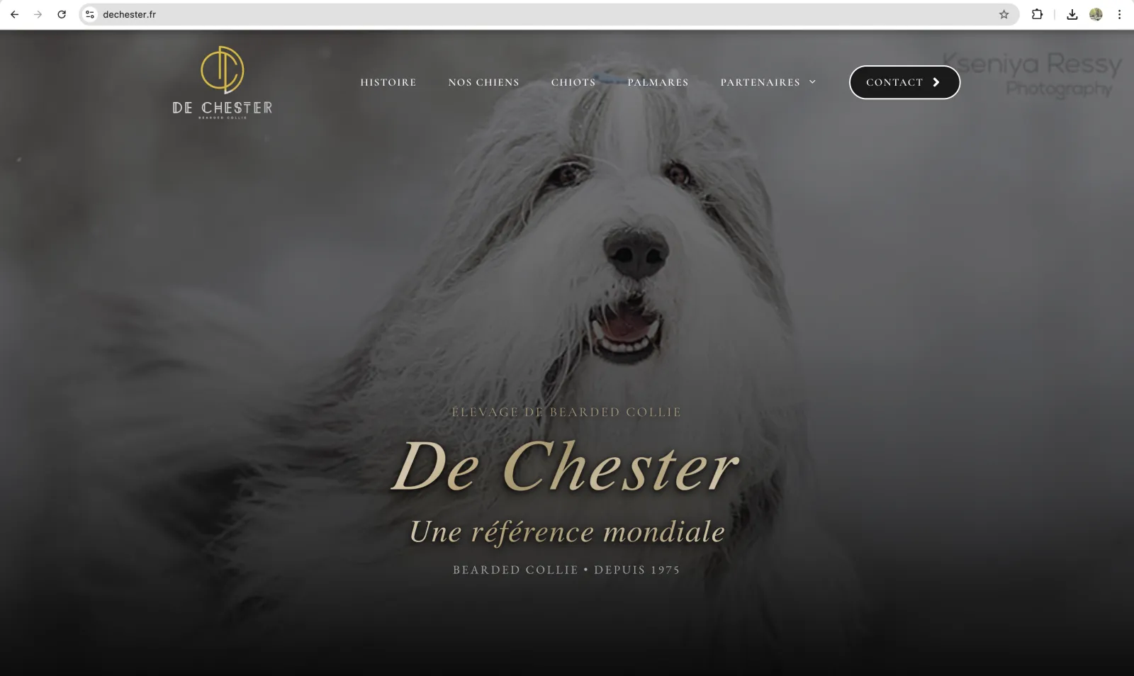 Conversation Messenger — Jean-Paul Bernardi partage les retours émouvants sur le site De Chester