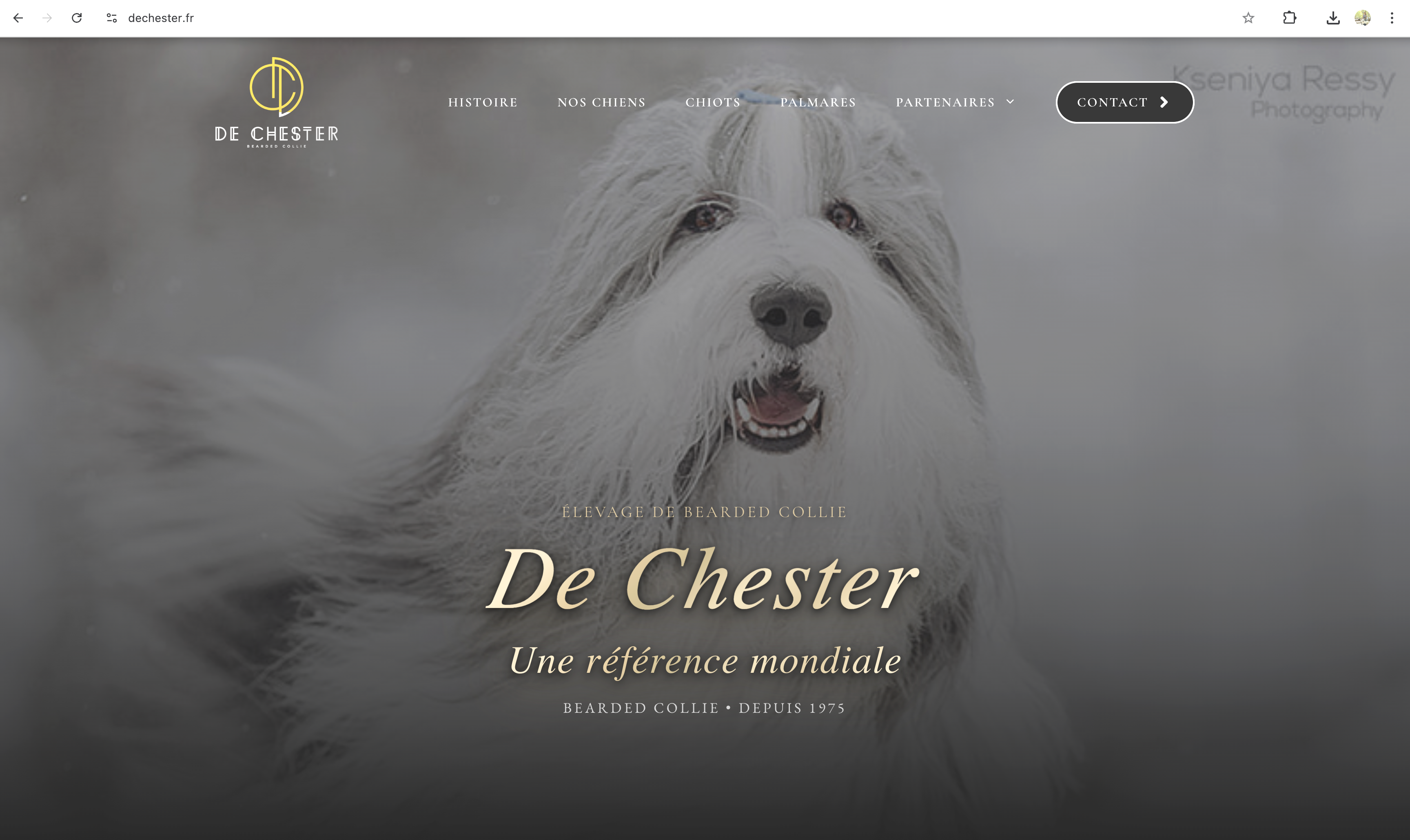 Capture du site Élevage De Chester
