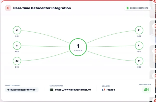Position #1 France vérifiée sur 6 datacenters Google pour la requête 'élevage biewer terrier' — biewerterrier.fr, relevé seo-hero.ninja du 18 avril 2026