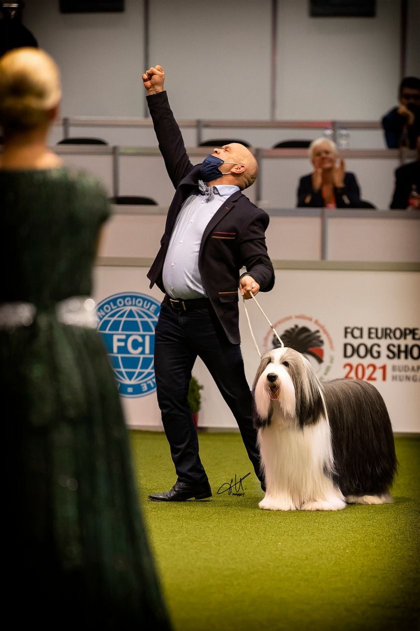 Jean-Paul Bernardi — Élevage De Chester, Bearded Collie