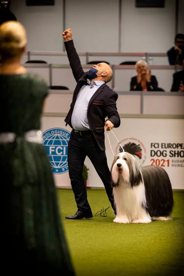 Jean-Paul Bernardi — Élevage De Chester — 50 ans d'excellence en Bearded Collie